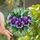 Floral Art Lovers' Tiffany Stained Glass Purple Violet Pansy Jewel Tone Mosaic Stained Glass Suncatcher - 1