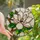 Nature Lovers' Elegant Tiffany Stained Glass Magnolia Bloom Blush Pink Magenta Emerald Green Clear Glass Mosaic Stained Glass Suncatcher - 1