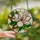 Nature Lovers' Elegant Tiffany Stained Glass Magnolia Bloom Blush Pink Magenta Emerald Green Clear Glass Mosaic Stained Glass Suncatcher - 2
