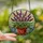 Garden Lovers' Tiffany Glass Lavender Floral Mosaic Pot Jewel Tone Swirl Pattern Stained Glass Suncatcher - 2