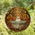 Autumn Art Lovers' Whimsical Tiffany Stained Glass Ghost Bathing Fall Forest Mosaic Orange Amber Hues Stained Glass Suncatcher - 4
