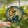 Fantasy Art Lovers' Ethereal Winged Fairy Reading Book Tiffany Stained Glass Deep Teal Gold Amber Jewel Tone Mosaic Stained Glass Suncatcher - 2