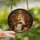 Cozy Gothic Art Lovers' Stained Glass Mosaic Friendly Ghost Reading Black Cat Jack-o'-lanterns Autumnal Window Jewel Tones Stained Glass Suncatcher - 2