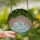Nature Lovers' Tiffany Style Pink Lily of the Valley Translucent Jewel Tone Stained Glass Mosaic Stained Glass Suncatcher - 2