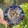 Celestial Dreamers' Tiffany Stained Glass Fairy Moon Cosmic Jewel Tone Pattern Stained Glass Suncatcher - 1