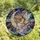 Celestial Dreamers' Tiffany Stained Glass Fairy Moon Cosmic Jewel Tone Pattern Stained Glass Suncatcher - 4