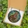 Cat Lovers' Majestic Stained Glass Cat Mosaic, Vibrant Tiffany Jewel Tones, Intricate Patterns Orange Teal Emerald Stained Glass Suncatcher - 5