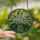 Nature Lovers' Vibrant Tiffany Stained Glass Lily of the Valley Floral White Lavender Mosaic Stained Glass Suncatcher - KyV1chF1nW