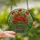 Art Lovers' Vibrant Red Orange Poppy Stained Glass Tiffany Mosaic Pattern Stained Glass Suncatcher - 2