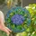 Nature & Art Lovers' Tiffany Stained Glass Hydrangea Bloom Jewel Tone Organic Mosaic Stained Glass Suncatcher - 1