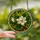 Women's Tiffany Stained Glass Magnolia Bloom Intricate Mosaic Art Creamy White Golden Green Stained Glass Suncatcher - 2