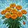 Nature Enthusiasts' Tiffany Stained Glass Marigold Style Floral Mosaic Jewel Tones Stained Glass Suncatcher - 7