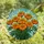 Nature Enthusiasts' Tiffany Stained Glass Marigold Style Floral Mosaic Jewel Tones Stained Glass Suncatcher - k-pRh3GkWH