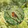 Nature Lovers' Vibrant Stained Glass European Robin Floral Mosaic Art Pattern Stained Glass Suncatcher - 4