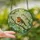 Nature Lovers' Vibrant Stained Glass European Robin Floral Mosaic Art Pattern Stained Glass Suncatcher - 2