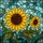 Nature Lovers' Radiant Tiffany Style Stained Glass Sunflower Jewel Tones Mosaic Pattern Stained Glass Suncatcher - 5