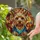 Yorkie Owners' Edge-to-Edge Tiffany Stained Glass Yorkie Head Mosaic Amber Blue Red Cream Stained Glass Suncatcher - kjuiBsBXa1