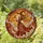 Witchcore Aesthetic Lovers Stained Glass Witch Profile Autumnal Pumpkin Jewel Tones Tiffany Art Stained Glass Suncatcher - 1