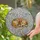 Pet Lovers' Serene Golden Retriever Puppy Angel Wings Opalescent Stained Glass Mosaic Art Stained Glass Suncatcher - 2