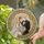 Wedding Celebrants' Tiffany Style Stained Glass Bride & Groom Amber Blue Rose Ornate Mosaic Stained Glass Suncatcher - ERVnH6H2aB