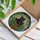 Cat Lovers' Vibrant Tiffany Stained Glass Black Cats Dappled Light Geometric Mosaic Stained Glass Suncatcher - fIXMysugM6