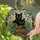 Cat Lovers' Vibrant Tiffany Stained Glass Black Cats Dappled Light Geometric Mosaic Stained Glass Suncatcher - tOu0U3FFvw