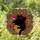 Cat Art Enthusiasts Opulent Black Cat Ruby Armchair Wine Jewel-Toned Stained Glass Mosaic Stained Glass Suncatcher - GdaVTMCF8U