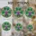 Nature Enthusiasts' Tiffany Glass Glowing Grape Cluster Vine Emerald Green Amber Royal Purple Stained Glass Suncatcher - -wqDCScR8k