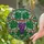 Nature Enthusiasts' Tiffany Glass Glowing Grape Cluster Vine Emerald Green Amber Royal Purple Stained Glass Suncatcher - 4nf7Di9HJJ