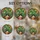 Cat Lovers' Vibrant Tiffany Stained Glass Tuxedo Cat Peeking Plant Pot Emerald Green Orange Mosaic Stained Glass Suncatcher - 4
