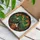 Cat Lovers' Vibrant Tiffany Stained Glass Tuxedo Cat Peeking Plant Pot Emerald Green Orange Mosaic Stained Glass Suncatcher - 3