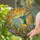 Nature Lovers' Iridescent Blue-Green Hummingbird Stained Glass Forget-Me-Not Golden Mosaic Pattern Stained Glass Suncatcher - 2