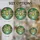 Nature Lovers' Emerald Green Frog Stained Glass Jewel Tone Pond Lily Pad Lotus Mosaic Stained Glass Suncatcher - 4