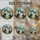 Border Collie Enthusiasts' Intricate Tiffany Stained Glass Playful Embrace Meadow Mosaic Jewel Tones Art Stained Glass Suncatcher - 4