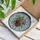 Art & Nature Lovers' Stained Glass Anatomical Heart Foliage Tulip Buds Jewel Tone Intricate Mosaic Stained Glass Suncatcher - TpukzI465W