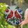 Winter Nature & Art Enthusiasts' Tiffany Stained Glass Cardinals Holly Berries Evergreen Jewel Tones Mosaic Stained Glass Suncatcher - naW99iGZtU