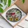 Bird Watchers' Intricate Tiffany Stained Glass Cardinal Pair Red Pink Yellow Floral Mosaic Art Stained Glass Suncatcher - 3