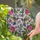 Nature Lovers' Iridescent Hummingbird Pink Rose Jewel Tone Stained Glass Floral Mosaic Stained Glass Suncatcher - 2