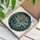 Nature Lovers' Iridescent Dragonfly Tiffany Stained Glass Floral Jewel Tone Mosaic Art Stained Glass Suncatcher - 3