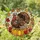Harvest Season Enthusiasts' Tiffany Style Stained Glass Turkey Autumn Leaves & Pumpkins Mosaic Jewel Tones Stained Glass Suncatcher - 1
