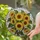 Nature Lovers' Vibrant Sun-Drenched Sunflower Stained Glass Art, Emerald Green Leaves Mosaic Pattern Stained Glass Suncatcher - 2