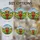 Nature Art Lovers' Majestic Highland Cow Golden Sunflowers Stained Glass Jewel Tones Design Stained Glass Suncatcher - 4
