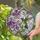 Nature Lovers' Vibrant Tiffany Stained Glass Hummingbird Purple Pink Floral Emerald Teal Mosaic Stained Glass Suncatcher - 2