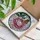Art Lovers' Intricate Glowing Tiffany Stained Glass Peony Monarch Butterfly Pink Orange Green Mosaic Stained Glass Suncatcher - 3