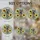 Nature Lovers' Intricate Stained Glass Raccoon Bust & Sunflower Mosaic Dappled Pastel Art Stained Glass Suncatcher - 4