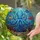 Ocean Lovers' Vibrant Tiffany Stained Glass Blue Octopus Deep Sea Coral Mosaic Art Stained Glass Suncatcher - 2