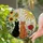 Cat Lovers' Vibrant Tiffany Stained Glass Black Orange Cats Sunflowers Rose Daisy Mosaic Stained Glass Suncatcher - 2