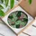 Art Enthusiasts' Tiffany Style Jewel Tone Luna Moth Floral Stained Glass Mosaic Stained Glass Suncatcher - Hb0J5LuR6f