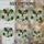 Art Enthusiasts' Tiffany Style Jewel Tone Luna Moth Floral Stained Glass Mosaic Stained Glass Suncatcher - OKeB72cj88