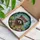 Nature Lovers' Vibrant Tiffany Stained Glass Raccoon Portrait Floral Mosaic Design Stained Glass Suncatcher - 3